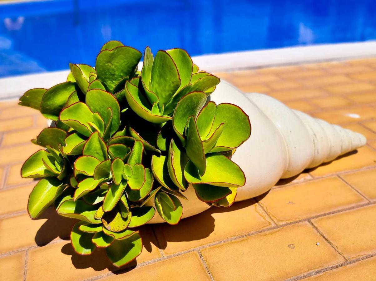 Flh Vilamoura Summer Flat With Pool Экстерьер фото